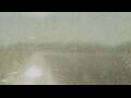 Webcam Alachua, Florida