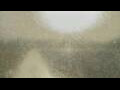 Webcam Alachua, Floride