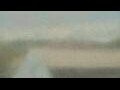 Webcam Alachua, Florida