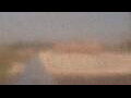 Webcam Alachua, Florida