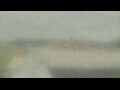 Webcam Alachua, Florida