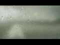 Webcam Alachua, Florida