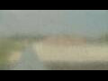 Webcam Alachua, Florida