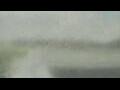 Webcam Alachua, Florida