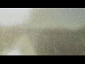 Webcam Alachua, Florida