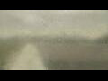Webcam Alachua, Floride