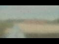 Webcam Alachua, Florida