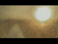 Webcam Alachua, Florida