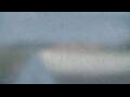 Webcam Alachua, Florida