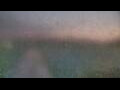 Webcam Alachua, Florida