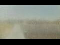 Webcam Alachua, Florida