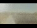 Webcam Alachua, Florida