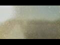 Webcam Alachua, Floride
