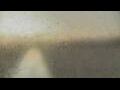 Webcam Alachua, Floride