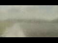 Webcam Alachua, Florida