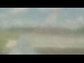 Webcam Alachua, Florida