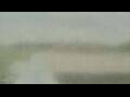 Webcam Alachua, Florida
