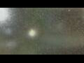 Webcam Alachua, Florida