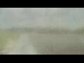 Webcam Alachua, Florida