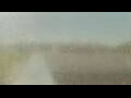 Webcam Alachua, Florida