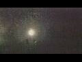 Webcam Alachua, Florida