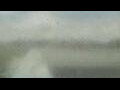 Webcam Alachua, Florida