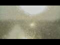 Webcam Alachua, Florida