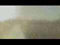 Webcam Alachua, Florida