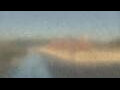 Webcam Alachua, Florida