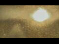 Webcam Alachua, Florida