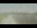 Webcam Alachua, Florida