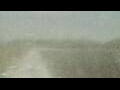 Webcam Alachua, Florida