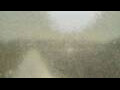 Webcam Alachua, Florida