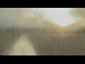 Webcam Alachua, Florida