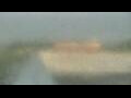 Webcam Alachua, Florida