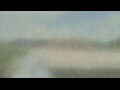 Webcam Alachua, Florida
