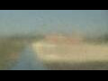 Webcam Alachua, Florida