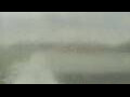 Webcam Alachua, Florida