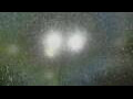 Webcam Alachua, Florida