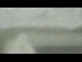 Webcam Alachua, Florida