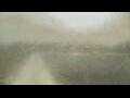 Webcam Alachua, Floride