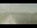 Webcam Alachua, Florida
