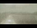 Webcam Alachua, Florida