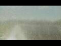 Webcam Alachua, Florida
