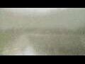 Webcam Alachua, Florida