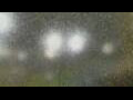 Webcam Alachua, Florida