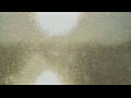 Webcam Alachua, Florida