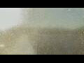 Webcam Alachua, Florida