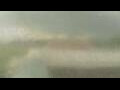 Webcam Alachua, Florida