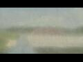 Webcam Alachua, Florida
